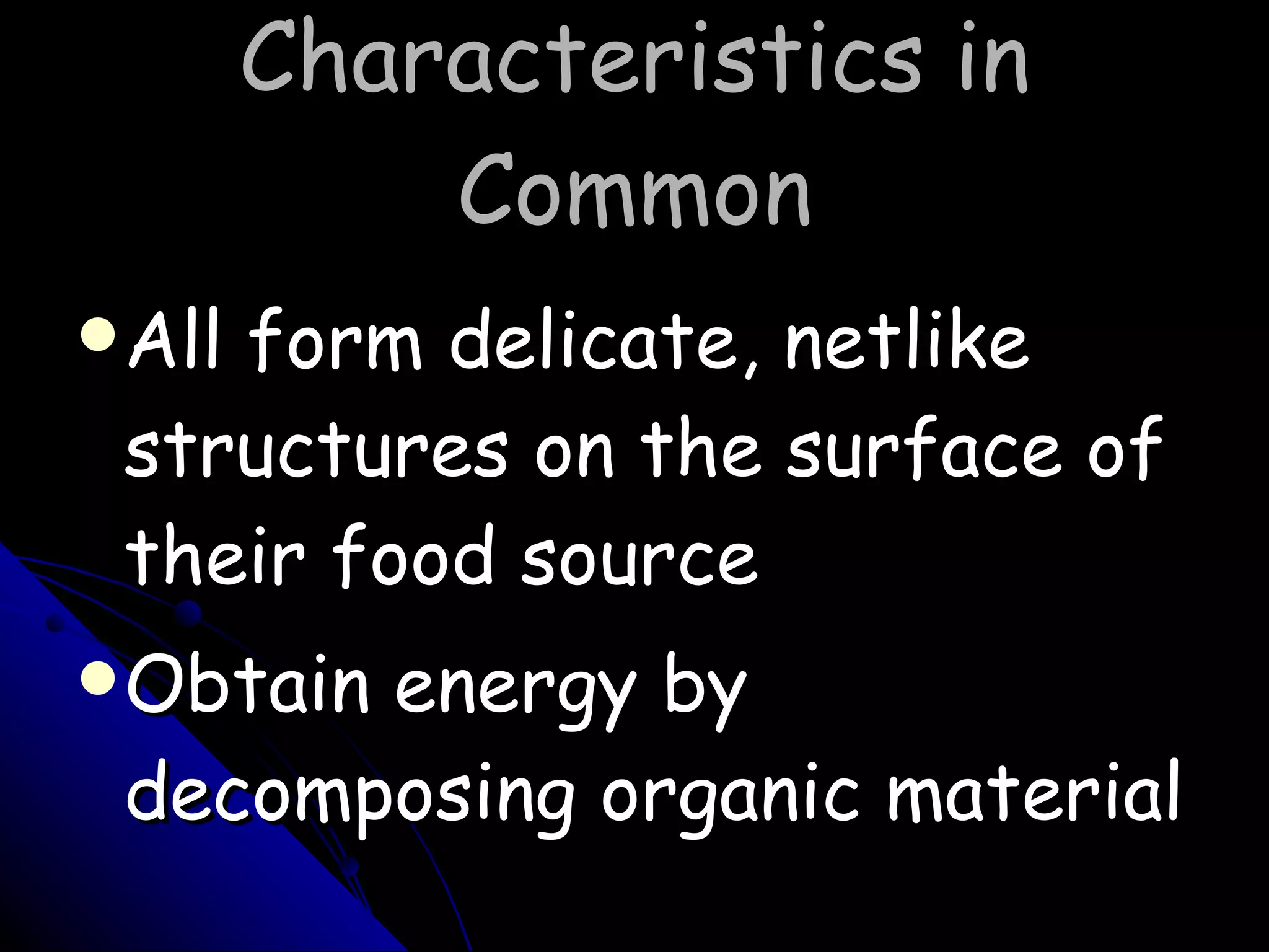 Characteristics in Common All form delicate, netlike structures on the surface of their food source Obtain energy by decomposing organic material 