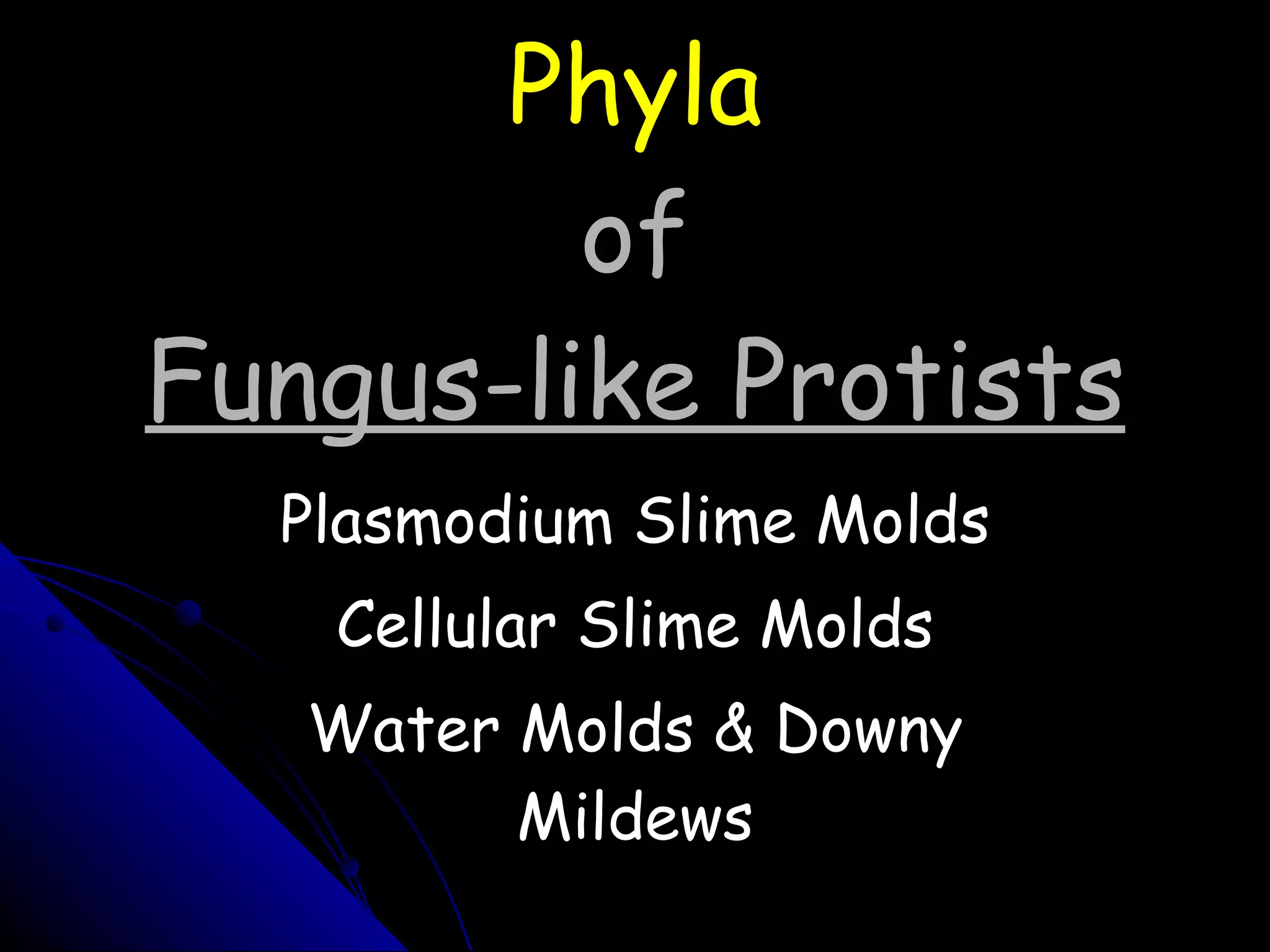 Phyla of Fungus-like Protists Plasmodium Slime Molds Cellular Slime Molds Water Molds & Downy Mildews 