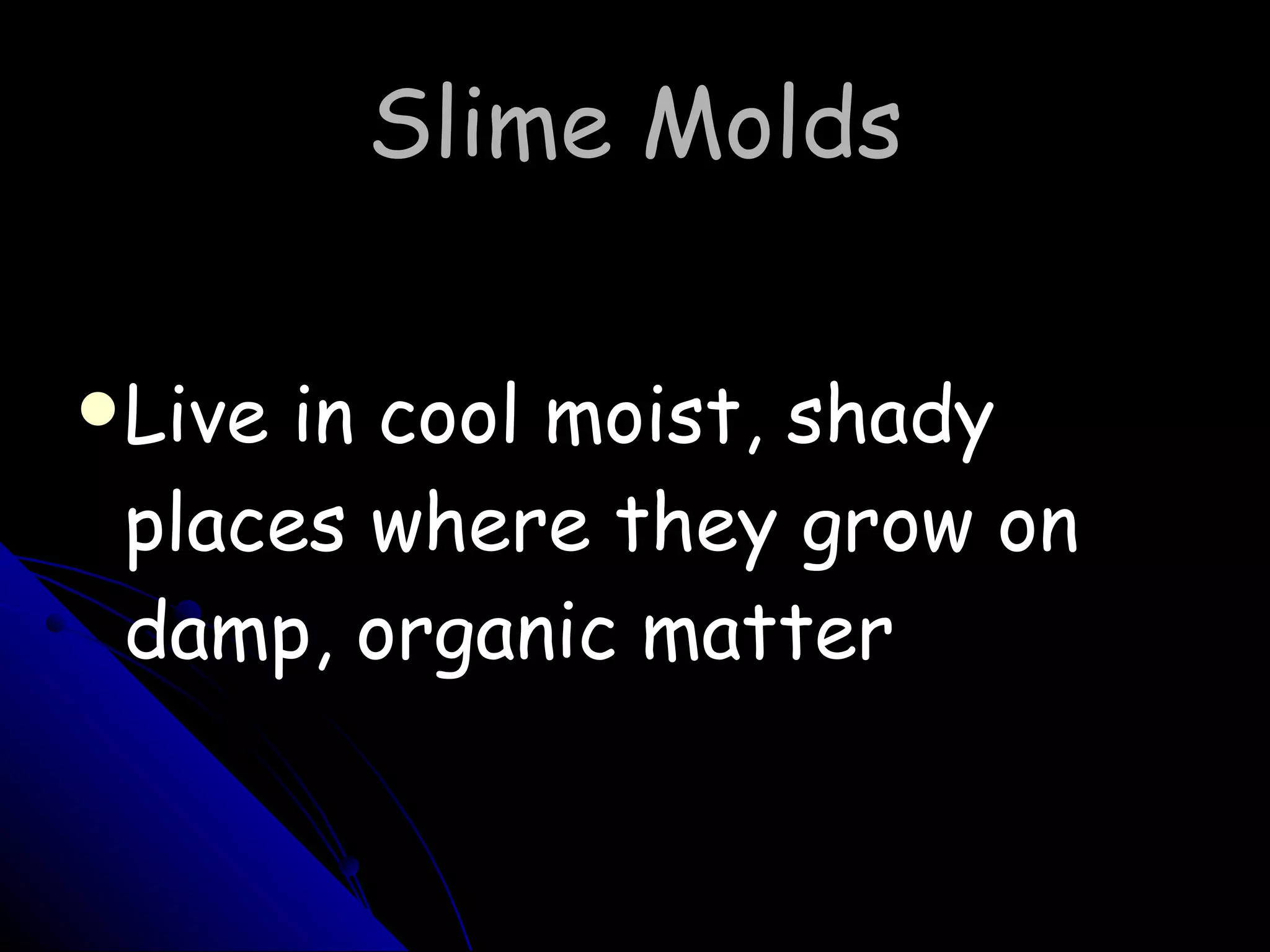 Slime Molds Live in cool moist, shady places where they grow on damp, organic matter 