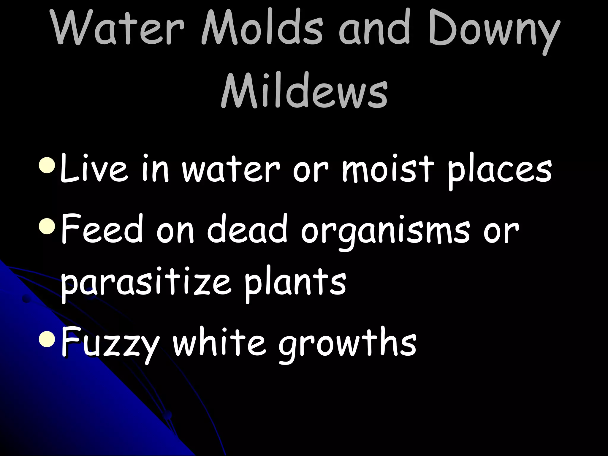 Water Molds and Downy Mildews Live in water or moist places Feed on dead organisms or parasitize plants Fuzzy white growths 