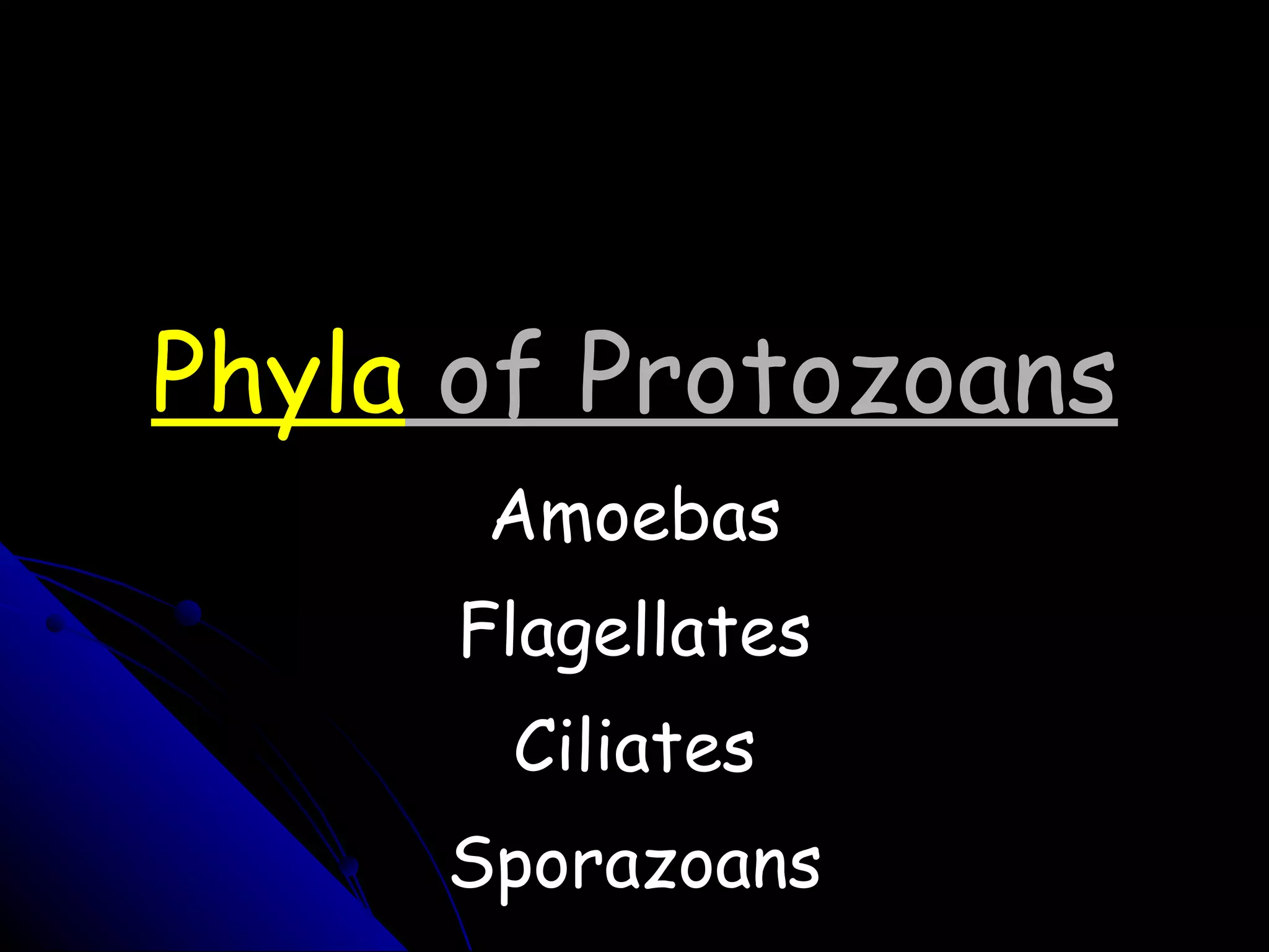Phyla  of Protozoans Amoebas Flagellates Ciliates Sporazoans 