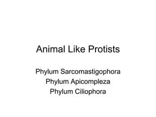 Animal Like Protists

Phylum Sarcomastigophora
  Phylum Apicompleza
    Phylum Ciliophora
 