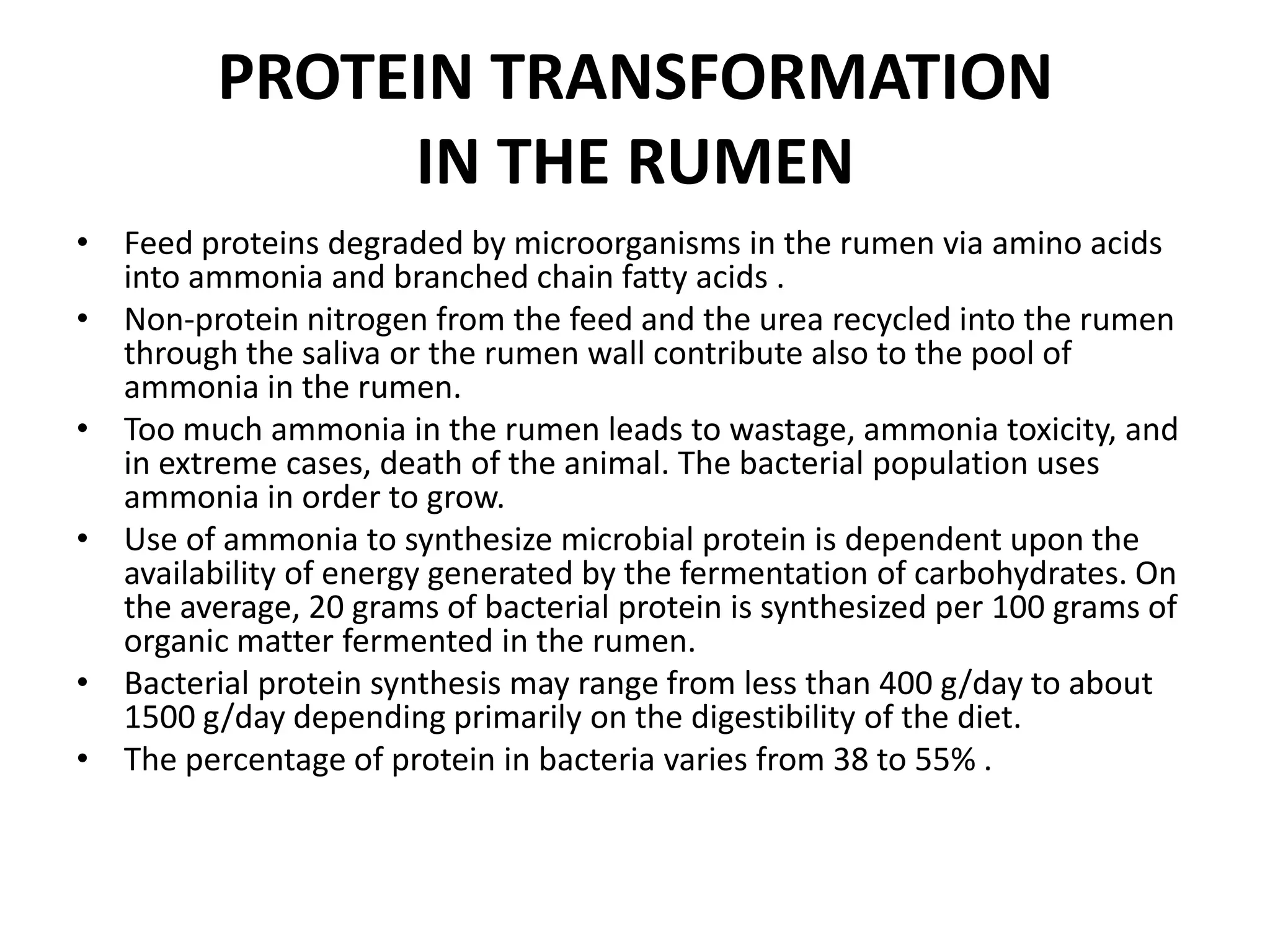 Protein Rumen Protein Metabolism (Animal Nutrition) | PPTX