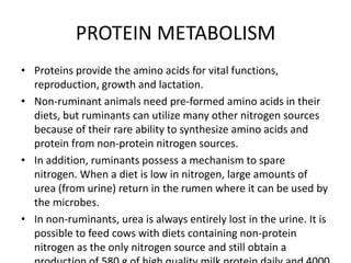 PROTEIN METABOLISM
• Proteins provide the amino acids for vital functions,
reproduction, growth and lactation.
• Non-ruminant animals need pre-formed amino acids in their
diets, but ruminants can utilize many other nitrogen sources
because of their rare ability to synthesize amino acids and
protein from non-protein nitrogen sources.
• In addition, ruminants possess a mechanism to spare
nitrogen. When a diet is low in nitrogen, large amounts of
urea (from urine) return in the rumen where it can be used by
the microbes.
• In non-ruminants, urea is always entirely lost in the urine. It is
possible to feed cows with diets containing non-protein
nitrogen as the only nitrogen source and still obtain a

 