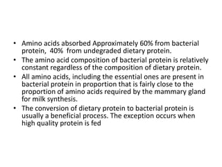 • Amino acids absorbed Approximately 60% from bacterial
protein, 40% from undegraded dietary protein.
• The amino acid composition of bacterial protein is relatively
constant regardless of the composition of dietary protein.
• All amino acids, including the essential ones are present in
bacterial protein in proportion that is fairly close to the
proportion of amino acids required by the mammary gland
for milk synthesis.
• The conversion of dietary protein to bacterial protein is
usually a beneficial process. The exception occurs when
high quality protein is fed

 