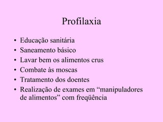 Profilaxia Educação sanitária Saneamento básico Lavar bem os alimentos crus Combate às moscas Tratamento dos doentes Realização de exames em “manipuladores de alimentos” com freqüência 