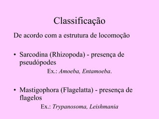 Classificação De acordo com a estrutura de locomoção Sarcodina (Rhizopoda) - presença de pseudópodes Ex.:  Amoeba, Entamoeba . Mastigophora (Flagelatta) - presença de flagelos Ex.:  Trypanosoma, Leishmania 