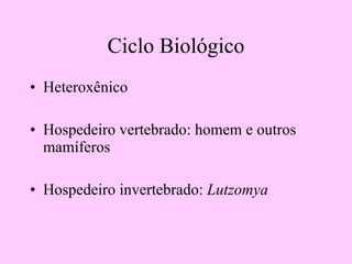 Ciclo Biológico Heteroxênico Hospedeiro vertebrado: homem e outros mamíferos Hospedeiro invertebrado:  Lutzomya 