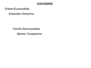 COCCÍDIOS 
Ordem Eucoccidiida 
Subordem Eimeriina 
Família Sarcocystidae 
Gênero Toxoplasma 
 