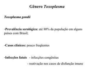 Gênero Toxoplasma 
TTooxxooppllaassmmaa ggoonnddiiii 
-Prevalência sorológica: até 80% da população em alguns 
países com Brasil; 
-Casos clínicos: pouco freqüentes 
-Infecções fatais - infecções congênitas 
- reativação nos casos de disfunção imune 
 