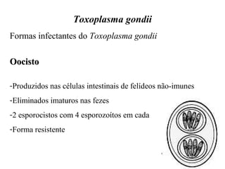 Toxoplasma gondii 
Formas infectantes do Toxoplasma gondii 
OOoocciissttoo 
-Produzidos nas células intestinais de felídeos não-imunes 
-Eliminados imaturos nas fezes 
-2 esporocistos com 4 esporozoítos em cada 
-Forma resistente 
 