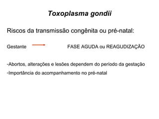 Toxoplasma gondii 
Riscos da transmissão congênita ou pré-natal: 
Gestante FASE AGUDA ou REAGUDIZAÇÃO 
-Abortos, alterações e lesões dependem do período da gestação 
-Importância do acompanhamento no pré-natal 
 
