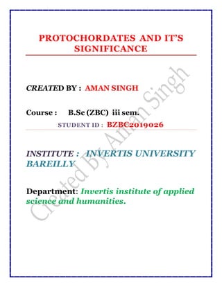 PROTOCHORDATES AND IT’S
SIGNIFICANCE
CREATED BY : AMAN SINGH
Course : B.Sc (ZBC) iii sem.
STUDENT ID : BZBC2019026
INSTITUTE : INVERTIS UNIVERSITY
BAREILLY
Department: Invertis institute of applied
science and humanities.
 