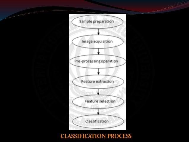 Wheat literature review image