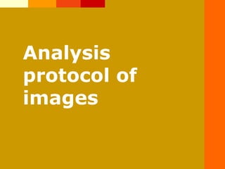 Analysis
protocol of
images
 