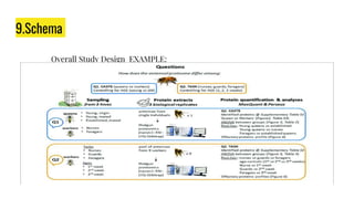 9.Schema
Overall Study Design EXAMPLE:
 