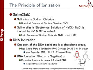 ©SIProp Project, 2006-2008 41
The Principle of Ionization
Saline(Salt)
Salt alias is Sodium Chloride.
Chemical Formula of ...