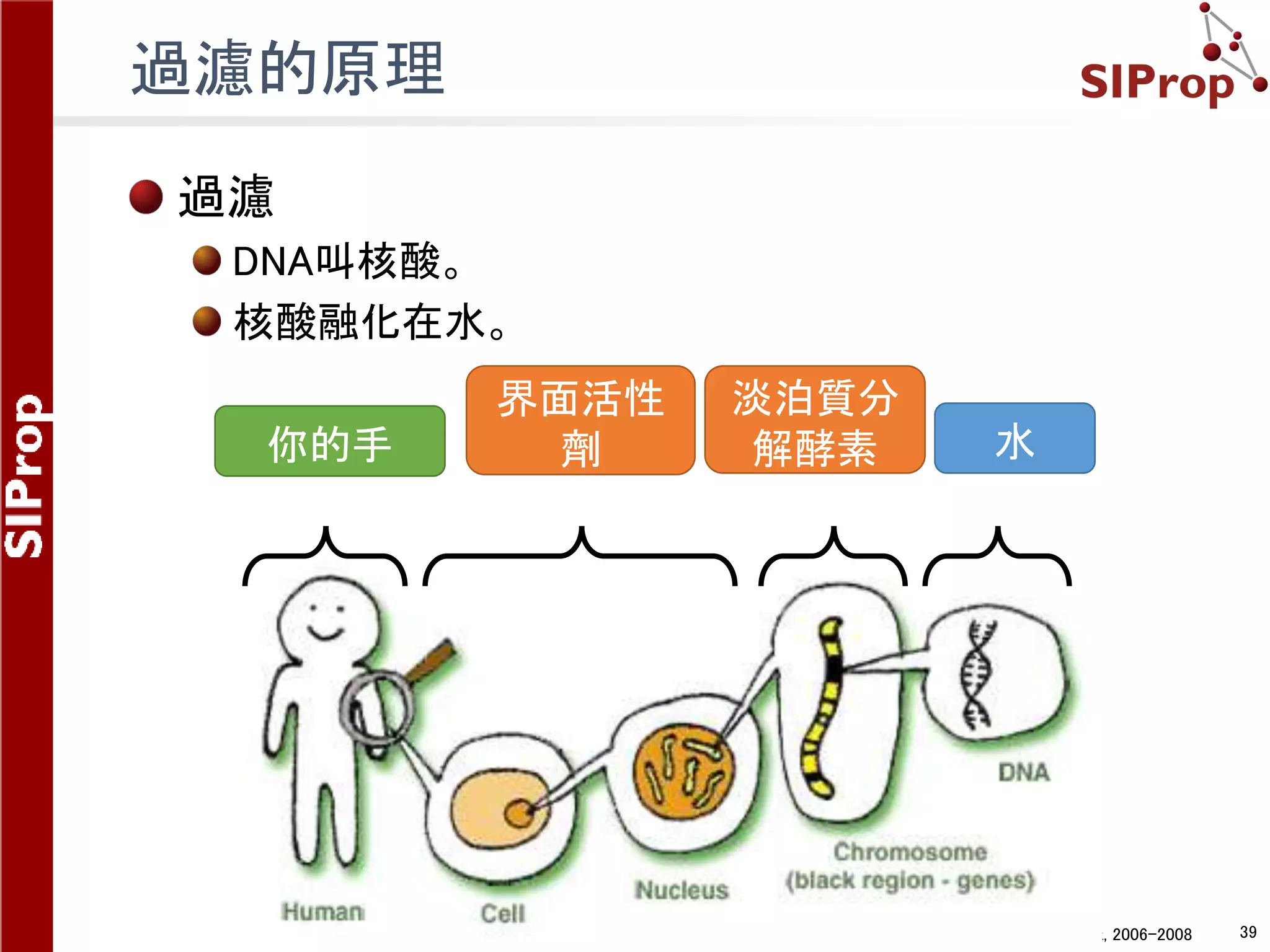 ©SIProp Project, 2006-2008 39
過濾的原理
過濾
DNA叫核酸。
核酸融化在水。
你的手
界面活性
劑
淡泊質分
解酵素 水
 