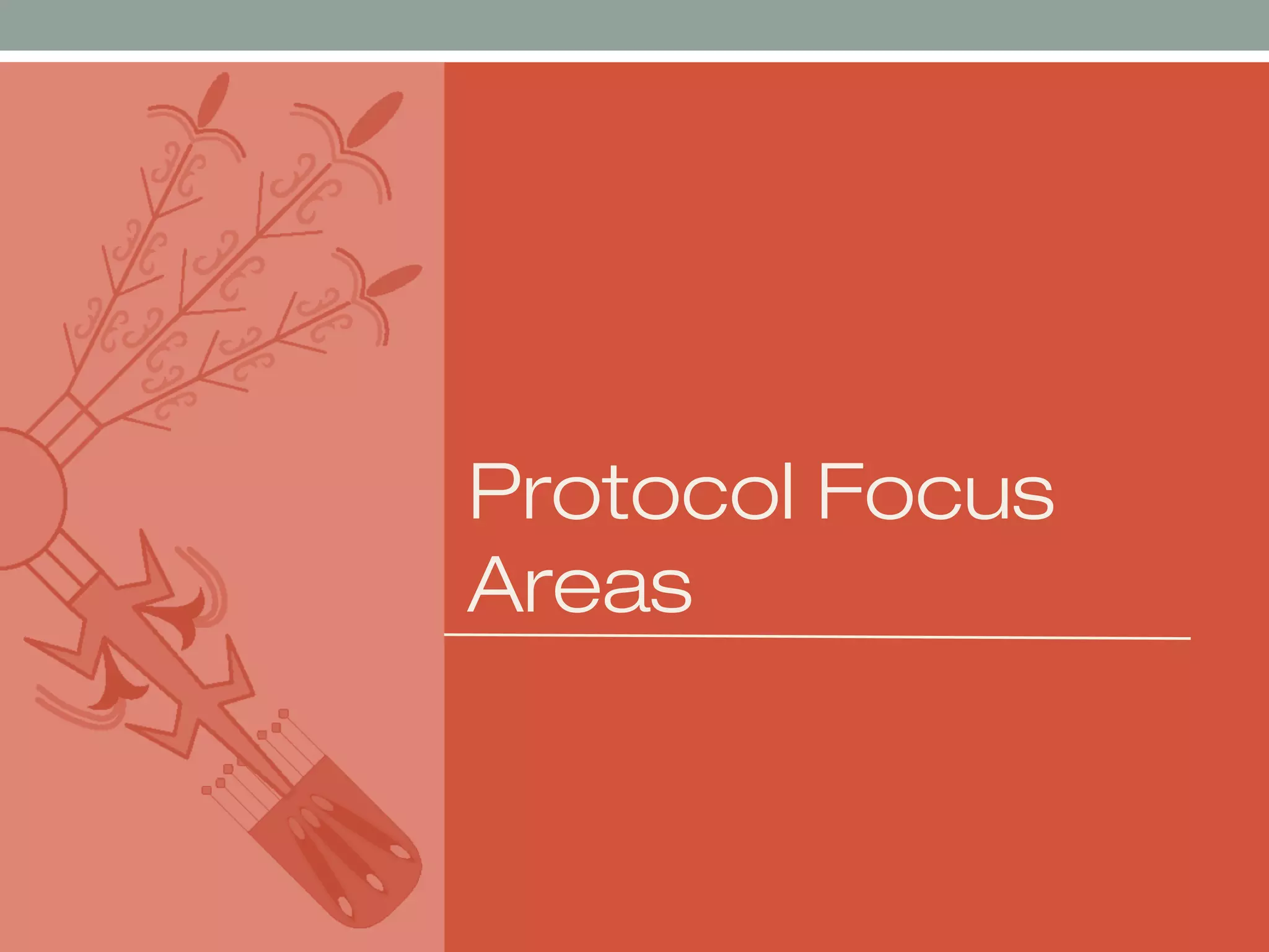 Protocol Focus
Areas

 