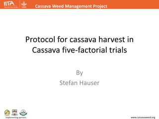 www.cassavaweed.org
Cassava Weed Management Project
Implementing partners
Protocol for cassava harvest in
Cassava five-factorial trials
By
Stefan Hauser
 