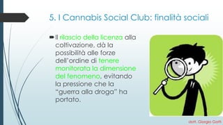 5. I Cannabis Social Club: finalità sociali 
Il rilascio della licenzaalla coltivazione, dà la possibilità alle forze dell’ordine ditenere monitorata la dimensione del fenomeno, evitando la pressione che la “guerra alla droga” ha portato. 
dott. Giorgio Gatti 
 