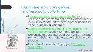 4. Gli interessi da considerare: l’interesse della collettività 
Ilprogetto pilota è una opportunità per la soluzione del problema della coltivazione illecita degli stupefacenti attraverso la produzione e la vendita di semi di cannabis 
Dalla produzione di composti fitoterapici alla vendita dei semi: uno strumento per la concessione della licenza a coltivare un limitato numero di piante anche a scopo collettivo o di gruppo 
La coltivazione lecita di gruppo:i Cannabis Social Club 
dott. Giorgio Gatti 
 