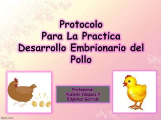 Protocolo
    Para La Practica
Desarrollo Embrionario del
           Pollo

            Profesoras:
         Yuslemi Vásquez Y
         Edglimar Garrido
 