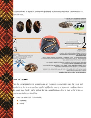 Protocolo de comprobación proyecto de ciclo