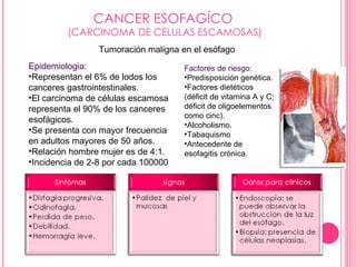 CANCER ESOFAGÍCO  (CARCINOMA DE CELULAS ESCAMOSAS) Tumoración maligna en el esófago <ul><li>Epidemiologia: </li></ul><ul><...