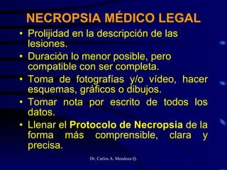 Prolijidad en la descripción de las lesiones. Duración lo menor posible, pero compatible con ser completa. Toma de fotografías y/o vídeo, hacer esquemas, gráficos o dibujos. Tomar nota por escrito de todos los datos. Llenar el  Protocolo de Necropsia  de la forma más comprensible, clara y precisa. NECROPSIA MÉDICO LEGAL 