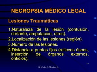 Lesiones Traumáticas 1.Naturaleza de la lesión (contusión, cortante, amputación, otros). 2.Localización de las lesiones (región). 3.Número de las lesiones. 4.Distancia a puntos fijos (relieves óseos, inserción de órganos externos, orificios). ... NECROPSIA MÉDICO LEGAL 