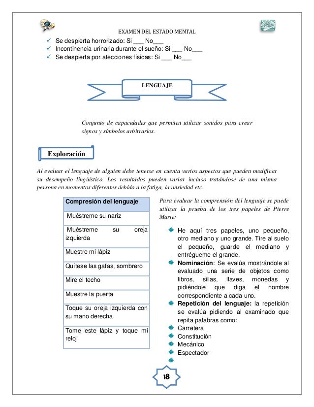 PROTOCOLO EXAMEN MENTAL