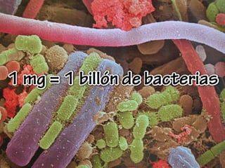 Protocolo en el Uso de Antibióticos en Odontología