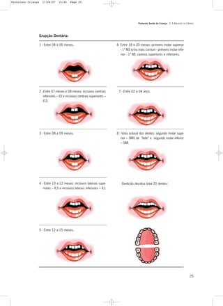 Protocolo Saúde da Criança - 2. A AVALIAÇÃO DA CRIANÇA
25
Erupção Dentária:
1 - Entre 04 e 06 meses.
2 - Entre 07 meses e 08 meses: incisivos centrais
inferiores – ICI e incisivos centrais superiores –
ICS.
3 - Entre 08 a 09 meses.
4 - Entre 10 a 12 meses: incisivos laterais supe-
riores – ILS e incisivos laterais inferiores – ILI.
5 - Entre 12 a 15 meses.
6- Entre 18 e 20 meses: primeiro molar superior
- 1º MS e/ou mais comum - primeiro molar infe-
rior - 1º MI; caninos superiores e inferiores.
7 - Entre 02 a 04 anos.
8 - Vista oclusal dos dentes: segundo molar supe-
rior – SMS de “leite” e segundo molar inferior
– SMI.
Dentição decídua total 20 dentes:
Protoloco Criança 11/04/07 14:24 Page 25
 