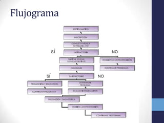 Flujograma
 