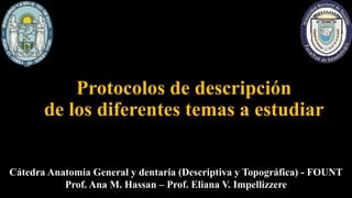 Protocolos de descripción
de los diferentes temas a estudiar
Cátedra Anatomía General y dentaria (Descriptiva y Topográfica) - FOUNT
Prof. Ana M. Hassan – Prof. Eliana V. Impellizzere
 