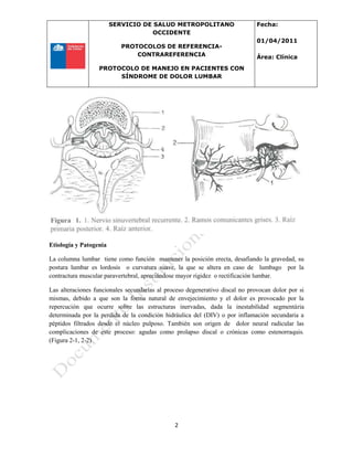 SERVICIO DE SALUD METROPOLITANO
OCCIDENTE
PROTOCOLOS DE REFERENCIA-
CONTRAREFERENCIA
PROTOCOLO DE MANEJO EN PACIENTES CON
SÍNDROME DE DOLOR LUMBAR
Fecha:
01/04/2011
Área: Clínica
2
Etiología y Patogenia
La columna lumbar tiene como función mantener la posición erecta, desafiando la gravedad, su
postura lumbar es lordosis o curvatura suave, la que se altera en caso de lumbago por la
contractura muscular paravertebral, apreciándose mayor rigidez o rectificación lumbar.
Las alteraciones funcionales secundarias al proceso degenerativo discal no provocan dolor por si
mismas, debido a que son la forma natural de envejecimiento y el dolor es provocado por la
repercución que ocurre sobre las estructuras inervadas, dada la inestabilidad segmentária
determinada por la perdida de la condición hidráulica del (DIV) o por inflamación secundaria a
péptidos filtrados desde el núcleo pulposo. También son origen de dolor neural radicular las
complicaciones de este proceso: agudas como prolapso discal o crónicas como estenorraquis.
(Figura 2-1, 2-2)
 