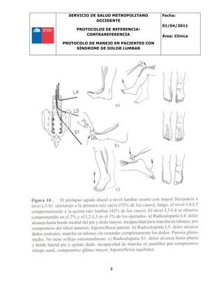 SERVICIO DE SALUD METROPOLITANO
OCCIDENTE
PROTOCOLOS DE REFERENCIA-
CONTRAREFERENCIA
PROTOCOLO DE MANEJO EN PACIENTES CON
SÍNDROME DE DOLOR LUMBAR
Fecha:
01/04/2011
Área: Clínica
8
 
