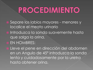 PROCEDIMIENTOSepare los labios mayores - menores y localice el meato urinarioIntroduzca la sonda suavemente hasta que salga la orina.EN HOMBRES:Lleve el pene en dirección del abdomen en un Angulo de 45º introduzca la sonda lenta y cuidadosamente por la uretra hasta obtener orina.