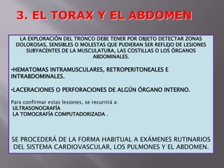 3. EL TORAX Y EL ABDOMEN 
LA EXPLORACIÓN DEL TRONCO DEBE TENER POR OBJETO DETECTAR ZONAS 
DOLOROSAS, SENSIBLES O MOLESTAS QUE PUDIERAN SER REFLEJO DE LESIONES 
SUBYACENTES DE LA MUSCULATURA, LAS COSTILLAS O LOS ÓRGANOS 
ABDOMINALES. 
•HEMATOMAS INTRAMUSCULARES, RETROPERITONEALES E 
INTRABDOMINALES. 
•LACERACIONES O PERFORACIONES DE ALGÚN ÓRGANO INTERNO. 
Para confirmar estas lesiones, se recurrirá a: 
ULTRASONOGRAFÍA 
LA TOMOGRAFÍA COMPUTADORIZADA . 
SE PROCEDERÁ DE LA FORMA HABITUAL A EXÁMENES RUTINARIOS 
DEL SISTEMA CARDIOVASCULAR, LOS PULMONES Y EL ABDOMEN. 
 