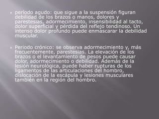  período agudo: que sigue a la suspensión figuran 
debilidad de los brazos o manos, dolores y 
parestesias, adormecimiento, insensibilidad al tacto, 
dolor superficial y pérdida del reflejo tendinoso. Un 
intenso dolor profundo puede enmascarar la debilidad 
muscular. 
 Periodo crónico: se observa adormecimiento y, más 
frecuentemente, parestesias. La elevación de los 
brazos o el levantamiento de pesos puede causar 
dolor, adormecimiento o debilidad. Además de la 
lesión neurológica, puede haber rupturas de los 
ligamentos de las articulaciones del hombro, 
dislocación de la escápula y lesiones musculares 
también en la región del hombro. 
 