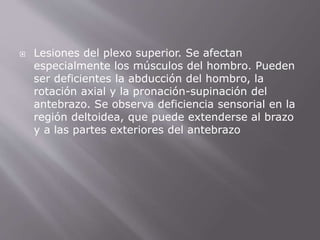  Lesiones del plexo superior. Se afectan 
especialmente los músculos del hombro. Pueden 
ser deficientes la abducción del hombro, la 
rotación axial y la pronación-supinación del 
antebrazo. Se observa deficiencia sensorial en la 
región deltoidea, que puede extenderse al brazo 
y a las partes exteriores del antebrazo 
 