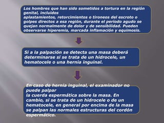 Los hombres que han sido sometidos a tortura en la región 
genital, incluidos 
aplastamientos, retorcimientos o tironeos del escroto o 
golpes directos a esa región, durante el período agudo se 
quejan normalmente de dolor y de sensibilidad. Pueden 
observarse hiperemia, marcada inflamación y equimosis. 
Si a la palpación se detecta una masa deberá 
determinarse si se trata de un hidrocele, un 
hematocele o una hernia inguinal. 
En caso de hernia inguinal, el examinador no 
puede palpar 
la cuerda espermática sobre la masa. En 
cambio, si se trata de un hidrocele o de un 
hematocele, en general por encima de la masa 
se palpan las normales estructuras del cordón 
espermático. 
 