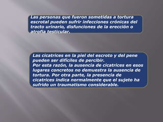 Las personas que fueron sometidas a tortura 
escrotal pueden sufrir infecciones crónicas del 
tracto urinario, disfunciones de la erección o 
atrofia testicular. 
Las cicatrices en la piel del escroto y del pene 
pueden ser difíciles de percibir. 
Por esta razón, la ausencia de cicatrices en esos 
lugares concretos no demuestra la ausencia de 
tortura. Por otra parte, la presencia de 
cicatrices indica normalmente que el sujeto ha 
sufrido un traumatismo considerable. 
 