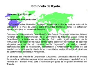 Protocolo de Kyoto.   Venezuela y el  Protocolo Compromisos Internacionales El Convenio sobre Diversidad Biológica. Venezuela publicó el Informe Nacional, la Estrategia y el Plan de Acción sobre Diversidad Biológica, donde se establecen algunos principios en materia de Bosques:  Convenio de Lucha contra la Desertificación y la Sequía. Venezuela elaboró su Informe Nacional para la implementación de la Convención de Naciones Unidas contra la Desertificación y Mitigación de la Sequía. Esto incide significativamente en la formulación y ejecución de la nueva política sobre bosques y la definición de acciones integrales para afrontar el problema de la degradación de suelos, creando oportunidades para la restauración, reforestación y rehabilitación de tierras de uso forestal, con la participación directa de las comunidades locales. Criterios e Indicadores de Sostenibilidad del Bosque Amazónico.  En el marco del Tratado de Cooperación Amazónica, Venezuela adelantó el proceso de consulta y validación nacional sobre estos criterios e indicadores, y participó en la II Reunión de Tarapoto, Perú, para la validación por parte de los países miembros del Tratado. 