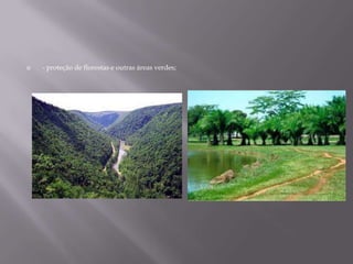 - proteção de florestas e outras áreas verdes;