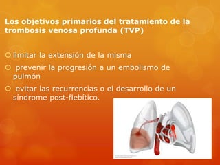 Los objetivos primarios del tratamiento de la
trombosis venosa profunda (TVP)


 limitar la extensión de la misma
 prevenir la progresión a un embolismo de
 pulmón
 evitar las recurrencias o el desarrollo de un
 síndrome post-flebítico.
 