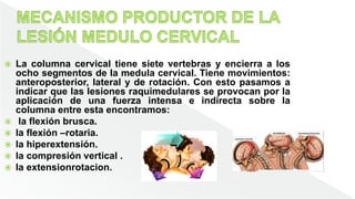  La columna cervical tiene siete vertebras y encierra a los
ocho segmentos de la medula cervical. Tiene movimientos:
anteroposterior, lateral y de rotación. Con esto pasamos a
indicar que las lesiones raquimedulares se provocan por la
aplicación de una fuerza intensa e indirecta sobre la
columna entre esta encontramos:
 la flexión brusca.
 la flexión –rotaria.
 la hiperextensión.
 la compresión vertical .
 la extensionrotacion.
 