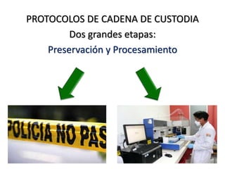 PROTOCOLOS DE CADENA DE CUSTODIA
Dos grandes etapas:
Preservación y Procesamiento
Proteger o resguardar
a alguien o algo,
intentando conservar
su estado, de un
daño o peligro.
Someter una cosa a un
proceso de elaboración
o de transformación.
 