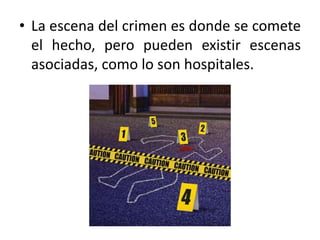 • La escena del crimen es donde se comete
el hecho, pero pueden existir escenas
asociadas, como lo son hospitales.
 